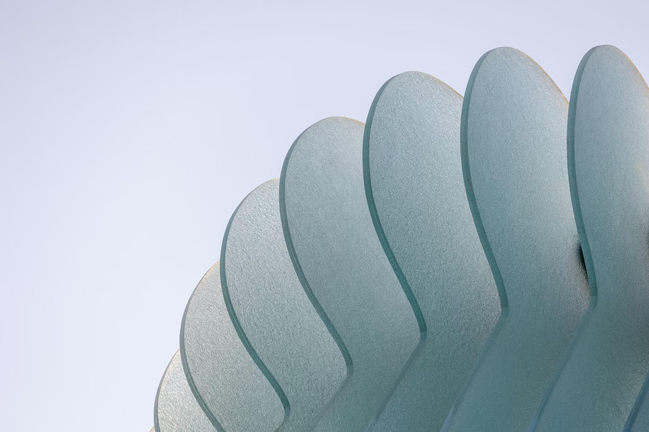 Abstract photo of large blue fins